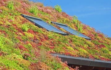 Bakers Wood living roof systems